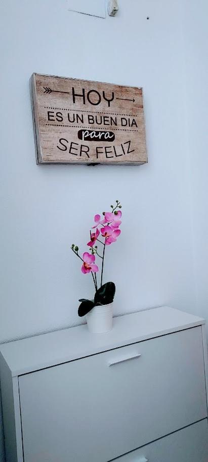 Apartamento Viena VI ベニドルム エクステリア 写真